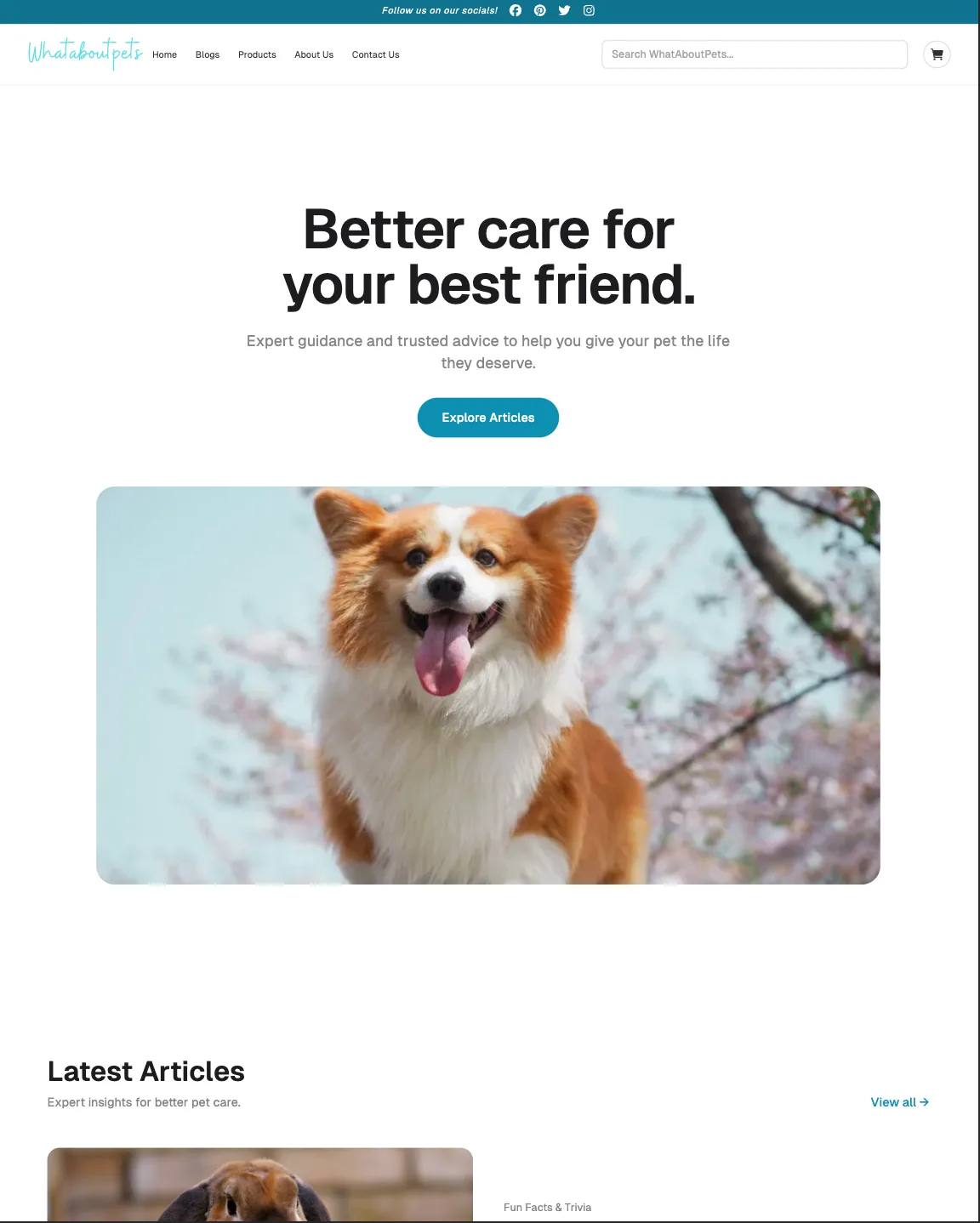 What About Pets